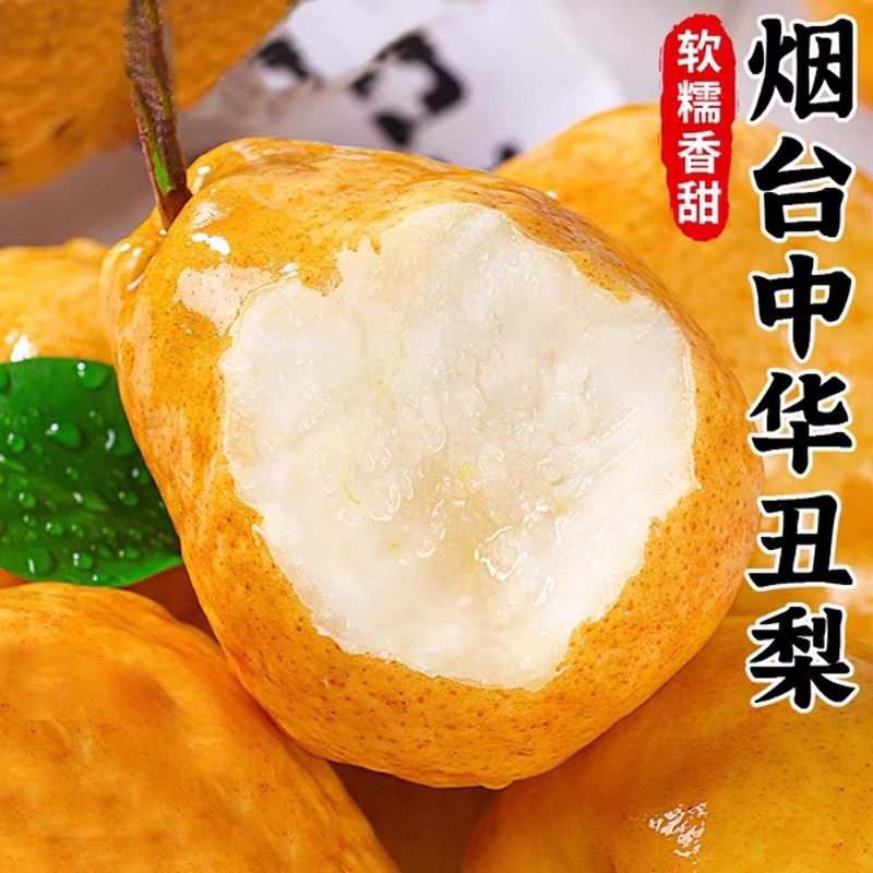 《小军严选》闻登丑梨中华丑梨山东烟台（常温放软后食用）山东省