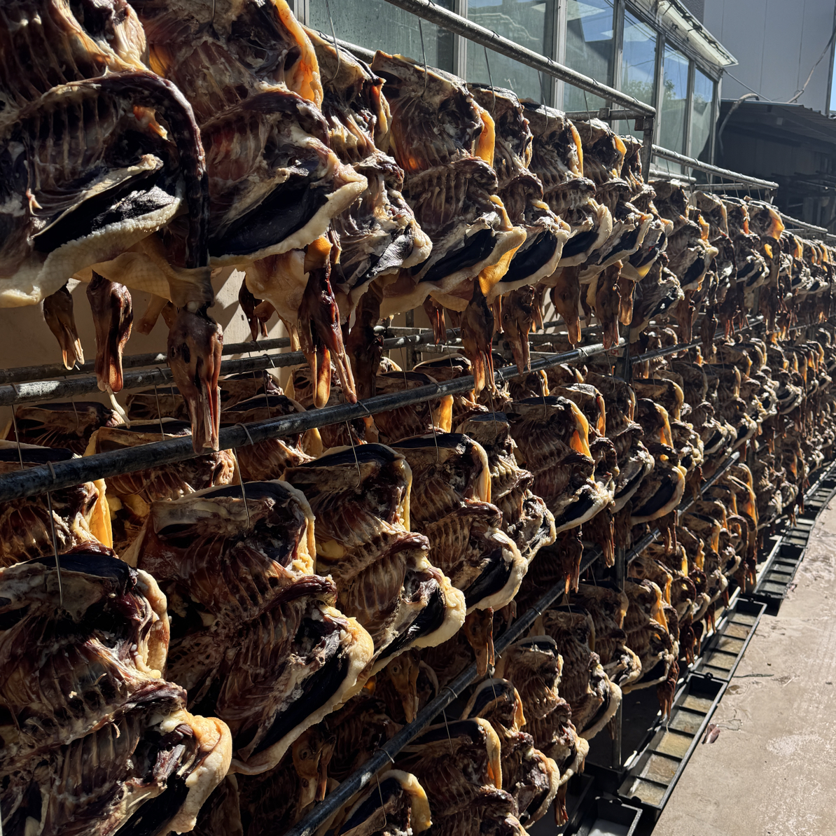 正宗保山腊板鹅纯手工风干每只5/6斤包邮送到家