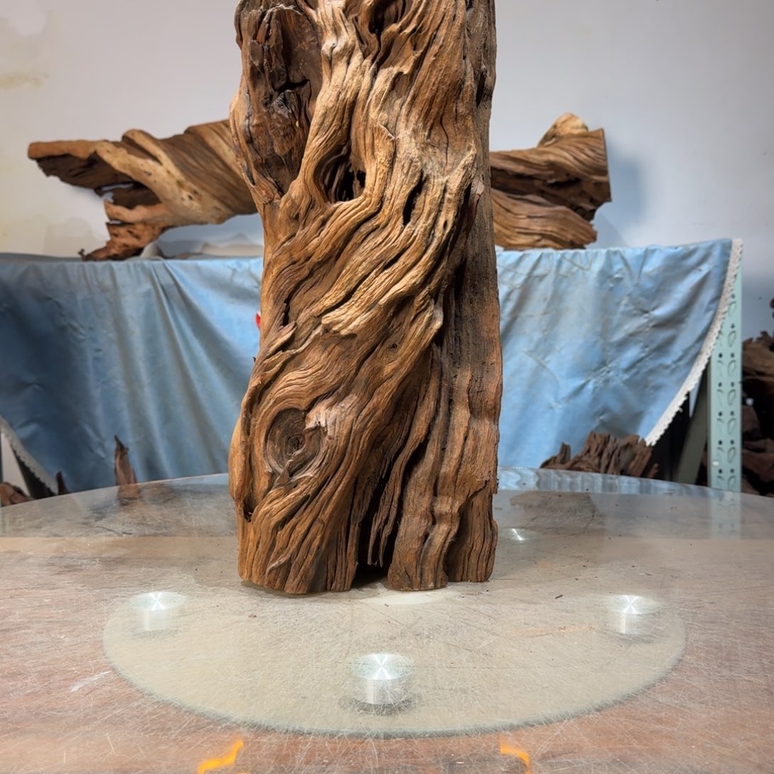 灵***荫沉木一物一拍造景