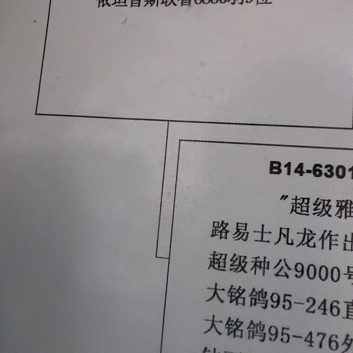 血统书血统书血统书