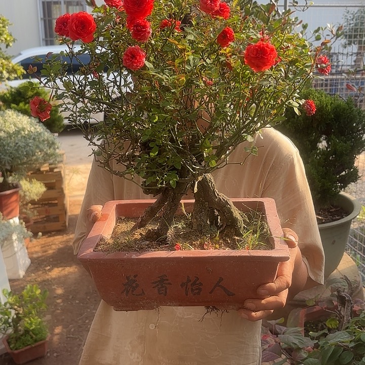 无***为无花朵哈哈哈哈哈哈