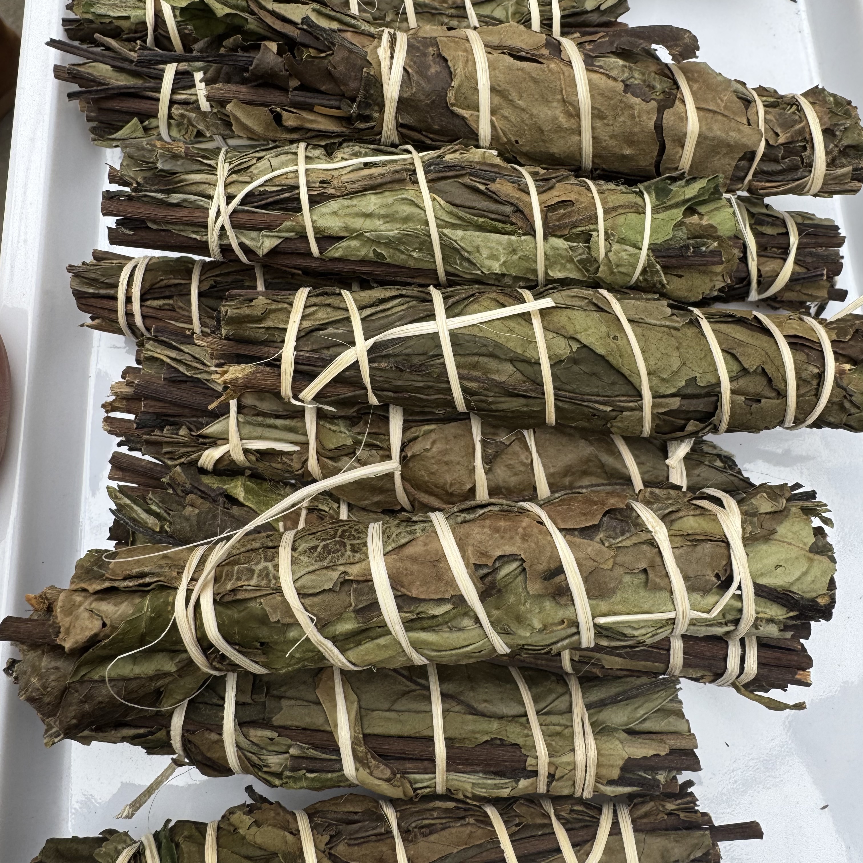 荒野 奶香棍棍茶  3月8 A1