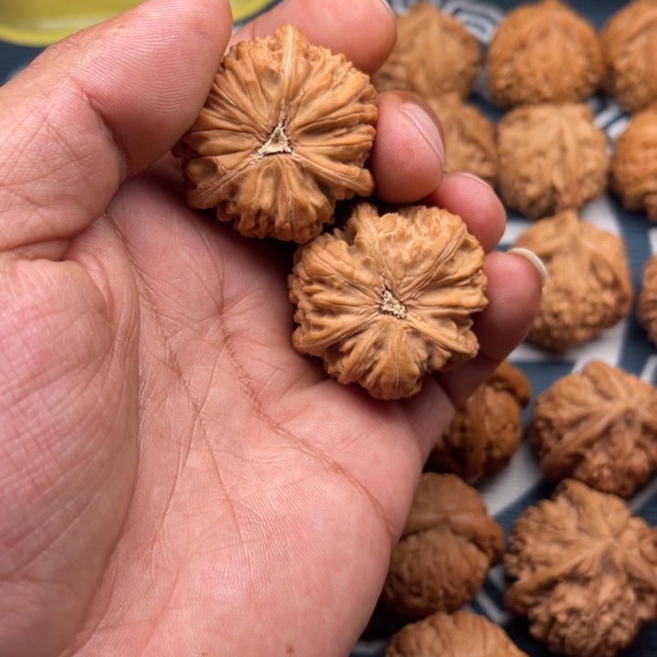 文玩核桃吊坠糖****生三棱