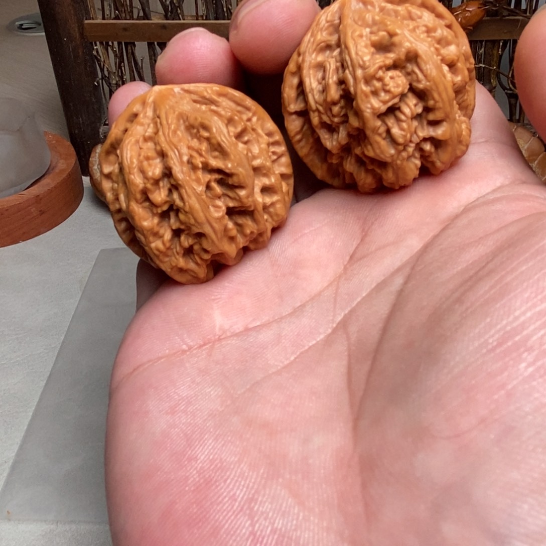 39粗筋，有修，差尺，有黄，有虫眼