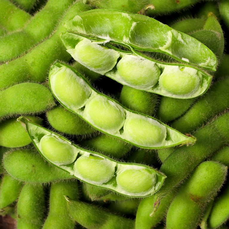 【上海金山】本地新鲜毛豆节（带壳）