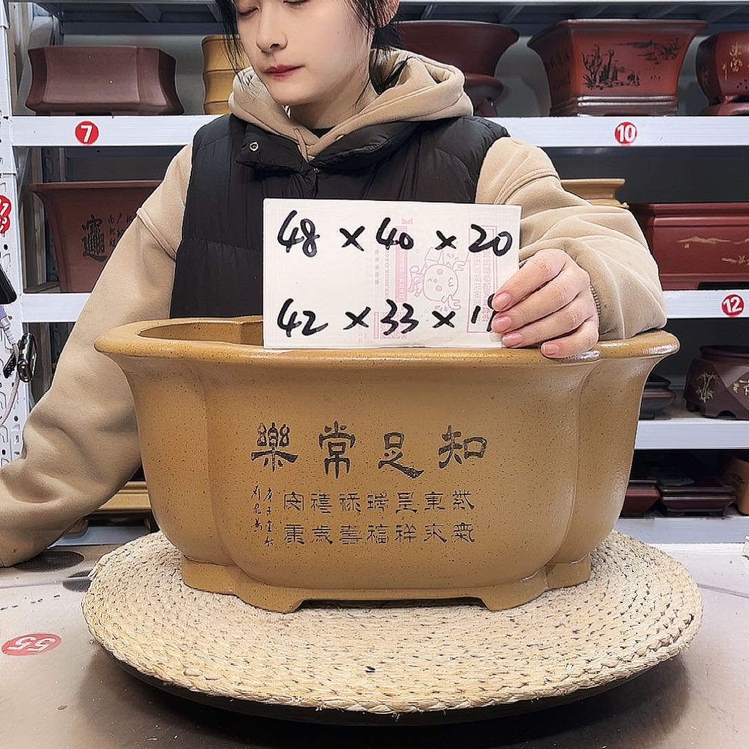 花盆紫砂紫砂花盆