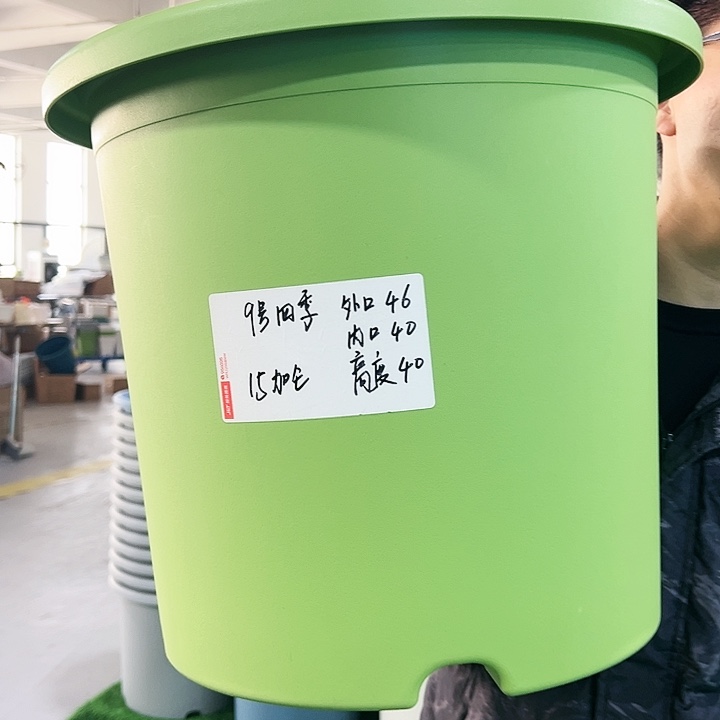 特价9号四季口46高40果绿无托4只