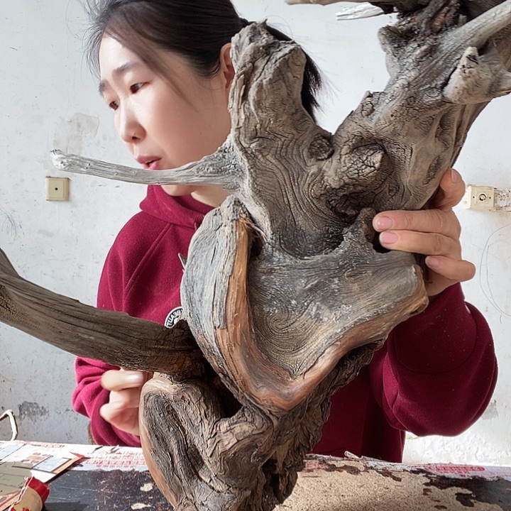 星***原橄榄核手串/手链太行太行大峡谷