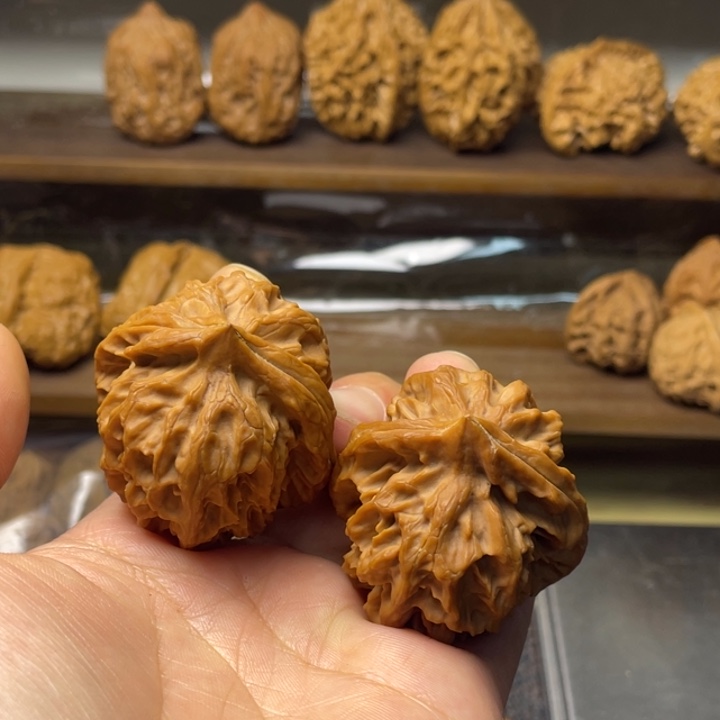 核桃曹大龙全品39.41.43