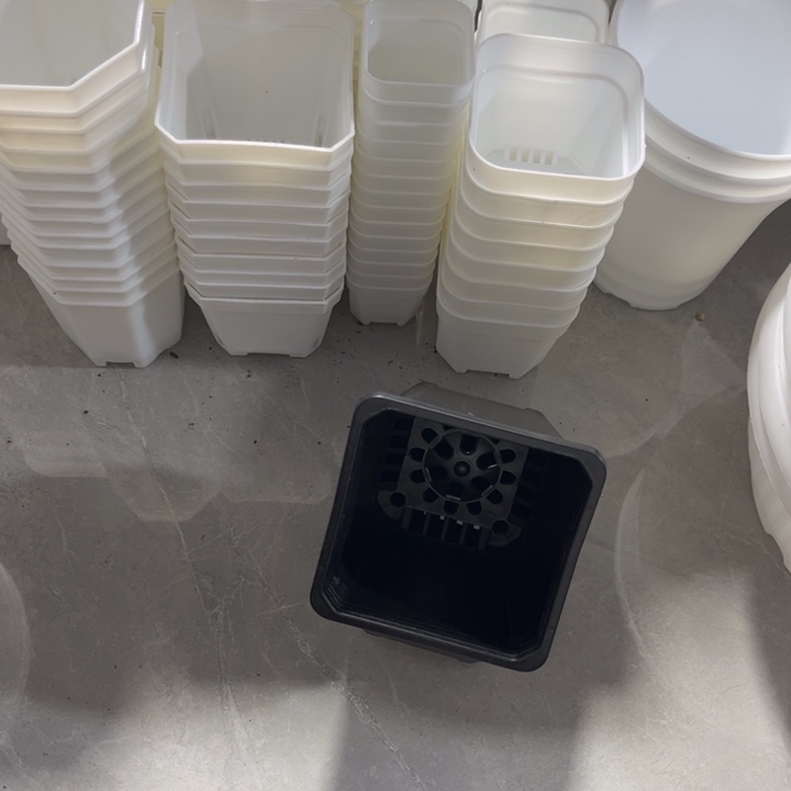 黑方口8高7一组30个