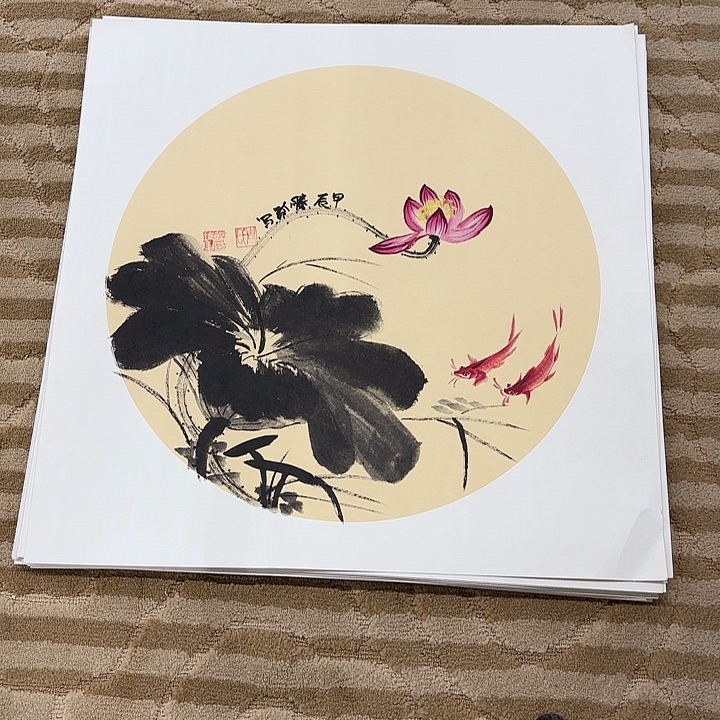 国画花鸟的翅膀和羽毛50.50