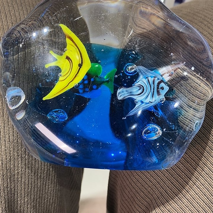 11113333223335536588