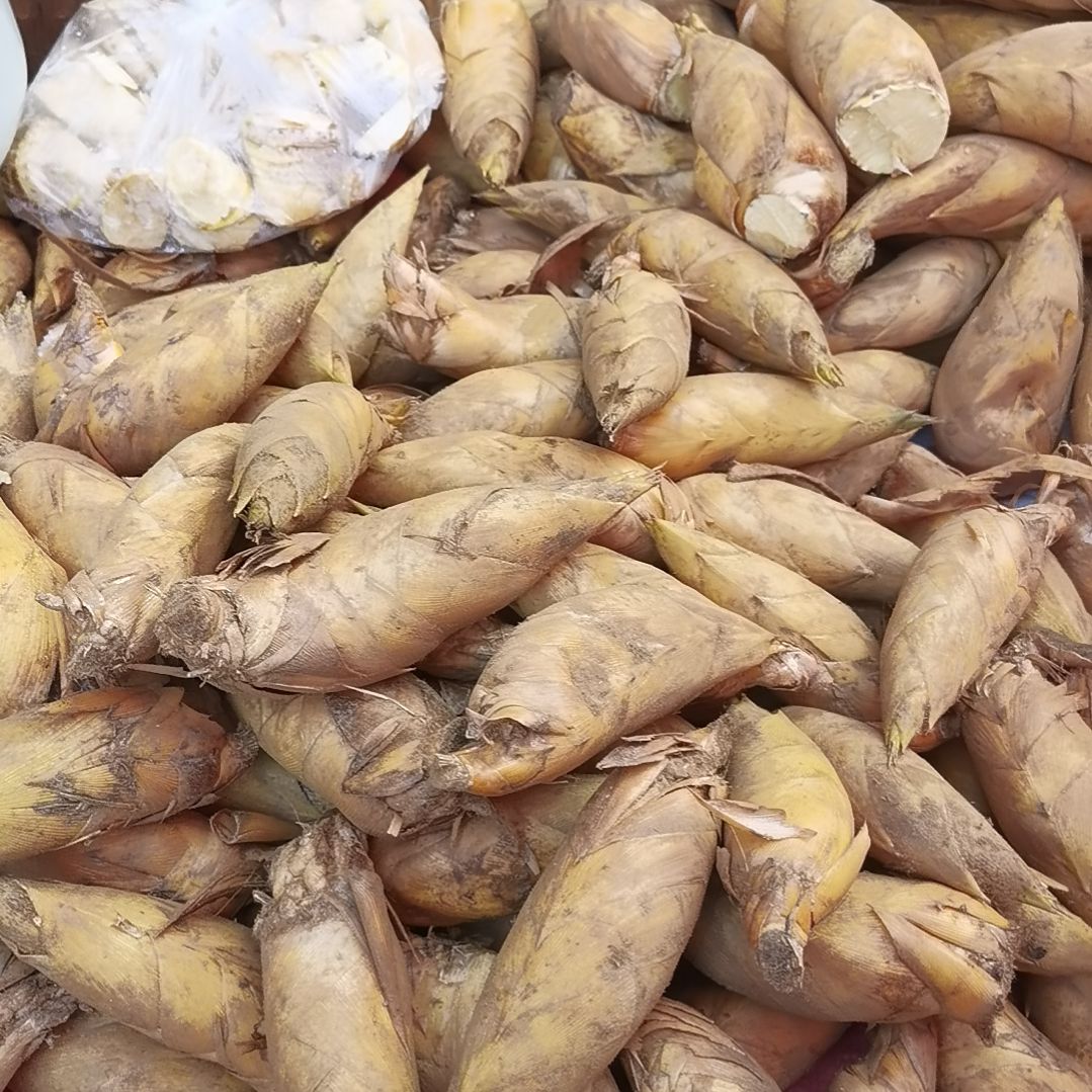 中国大陆小冬笋两斤