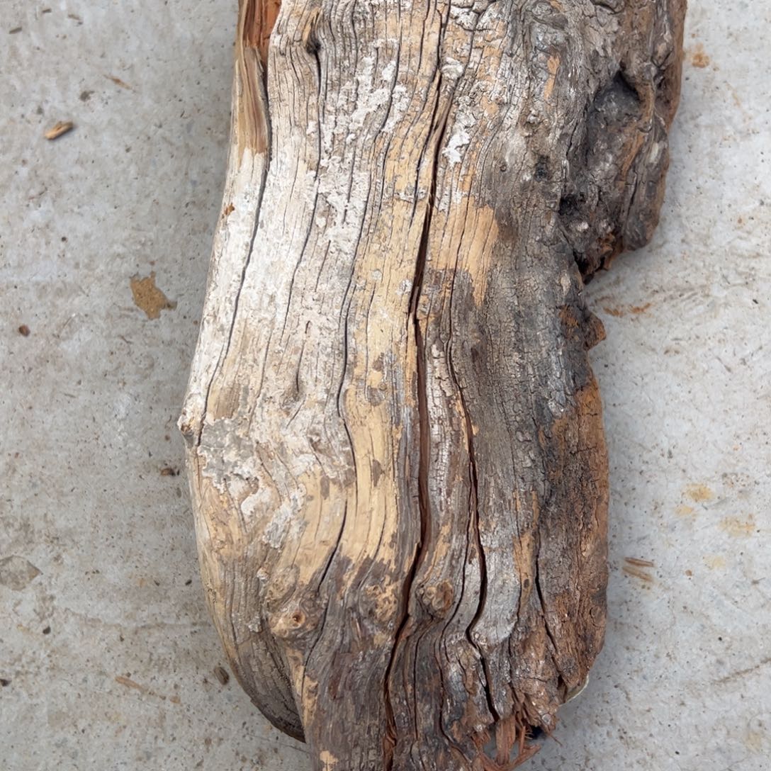 柏木（崖柏）太行黑油料1.9斤