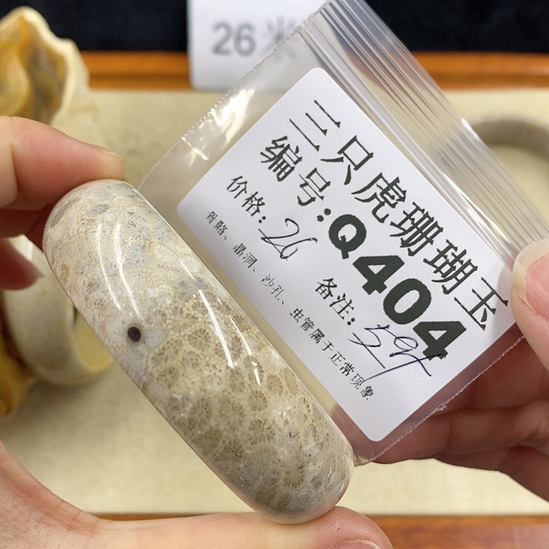 硅化珊瑚（珊瑚玉）1未镶嵌宁*