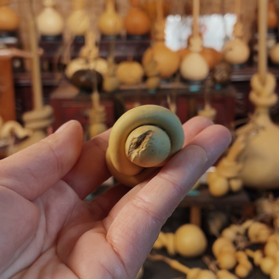 【闪购商品】木人*路葫芦