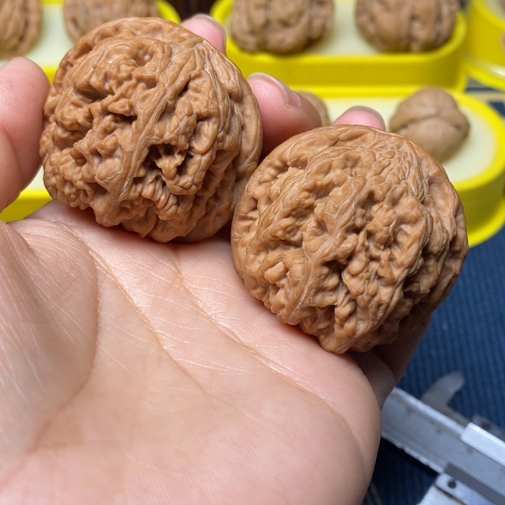 文玩核桃大粗筋43