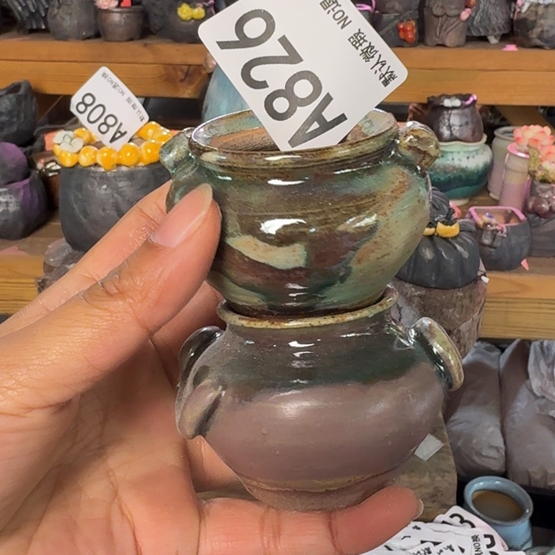 重庆小燕子欢迎大家826