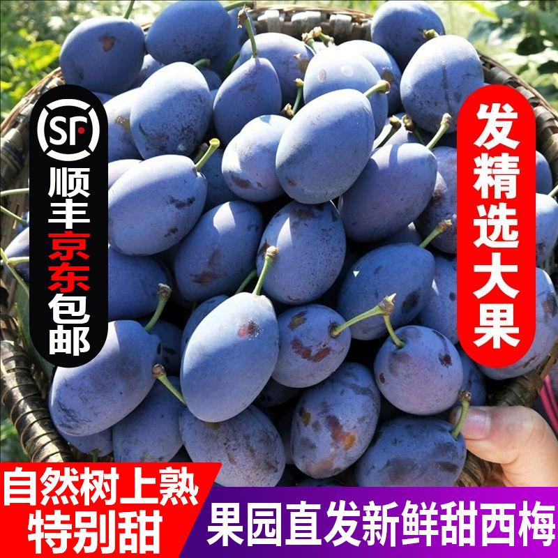 【顺丰京东包邮】大西梅新鲜女神蓝蜜脆甜孕妇水果当季整箱