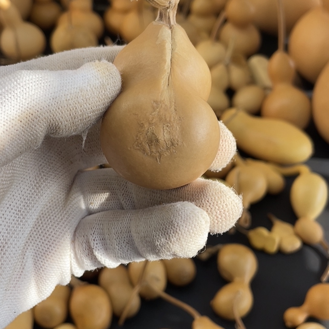 F***N大叶紫檀（黑酸枝木类）