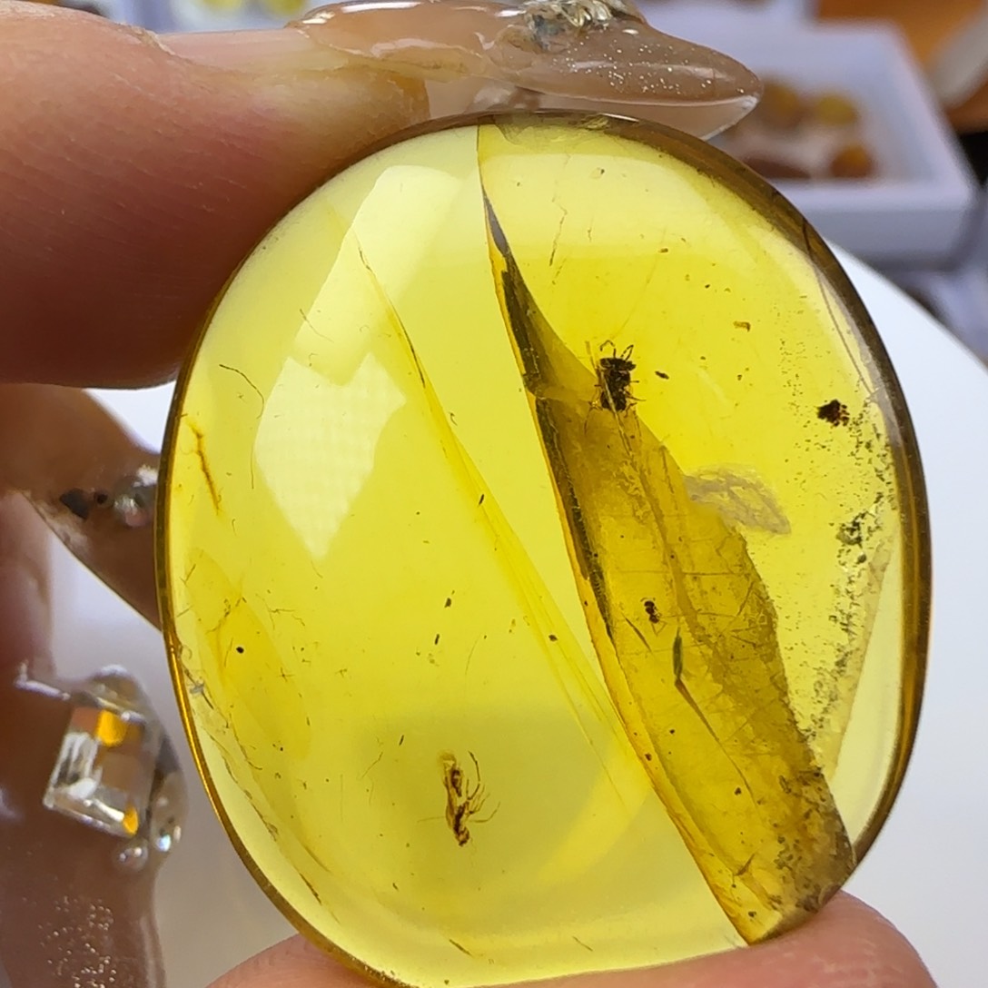 琥珀裸石未镶嵌蜂