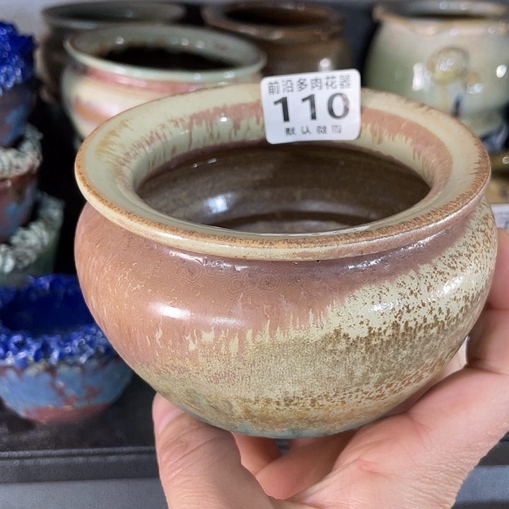 狼盆内口径8高度8