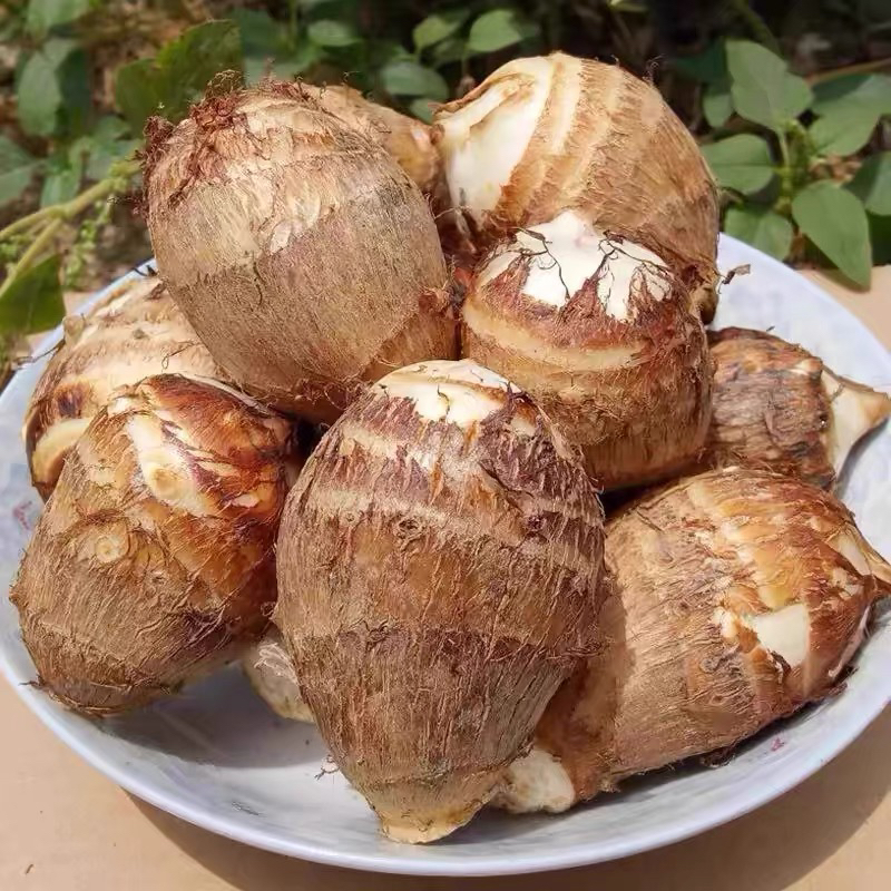 农家自种牛奶小芋头新鲜香芋芋艿现挖产地直发香甜粉糯软糯