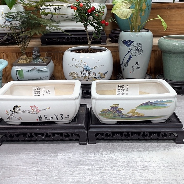 陶瓷花盆抢购福利