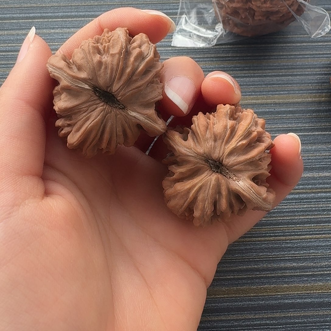 核桃老树红皮四座楼40全