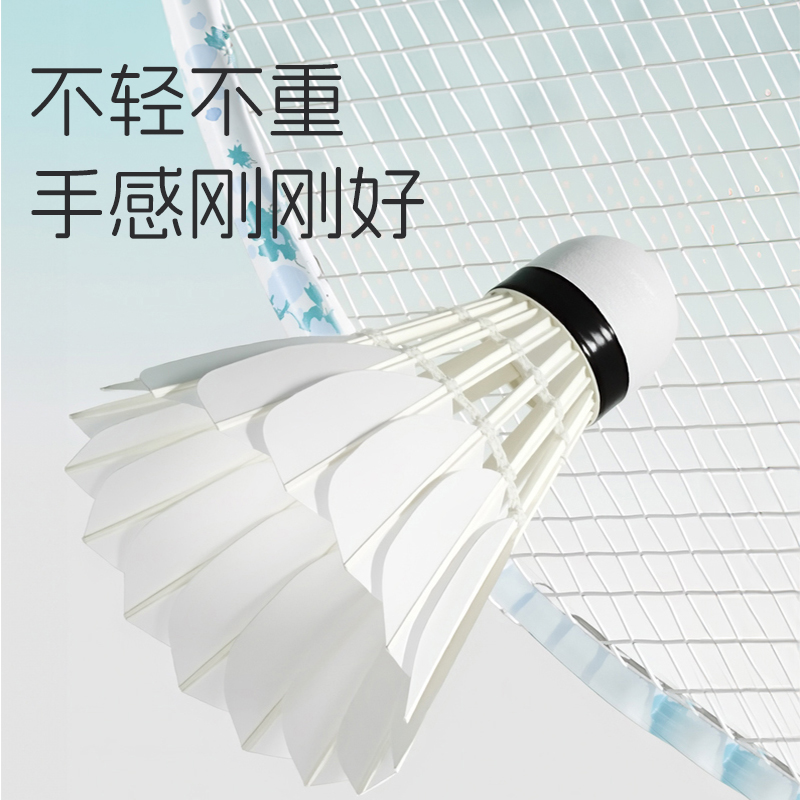 S5全圆鹚鸪鸭毛耐打羽毛球稳定抗风适合室内外训练与比赛使用