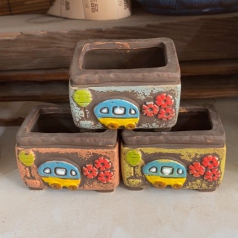 【闪购商品】红陶1