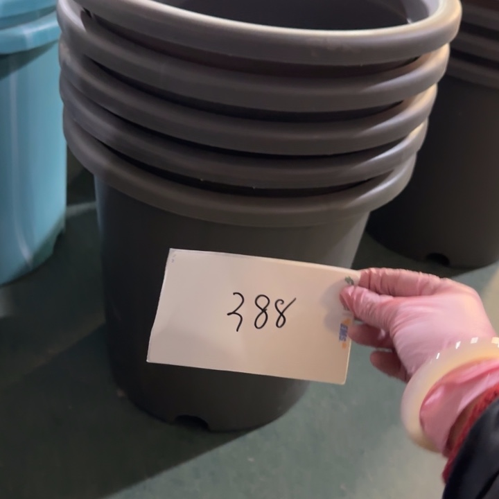 编号388————微瑕串色口径39