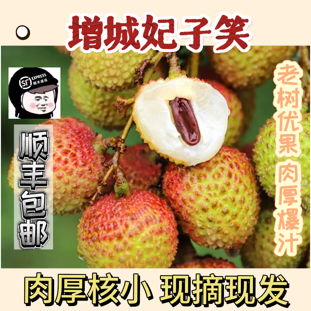 【广东省外】增城妃子笑荔枝正宗本地荔枝 肉厚核小 净果约5斤/10斤