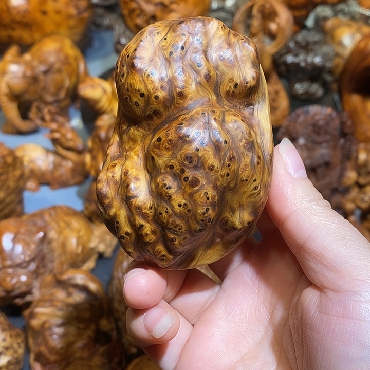 柏木太行崖柏陈化