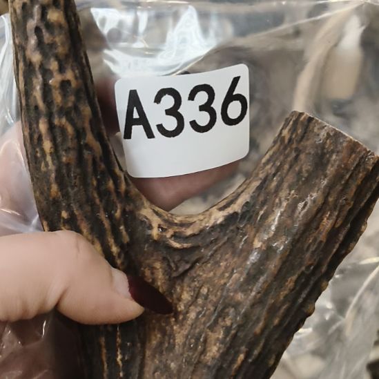 禁***区鹿角鹿角鹿角鹿角鹿角