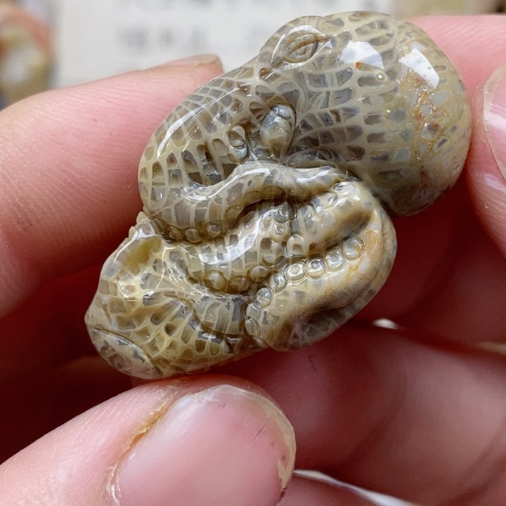 颈饰未镶嵌硅化珊瑚（珊瑚玉）