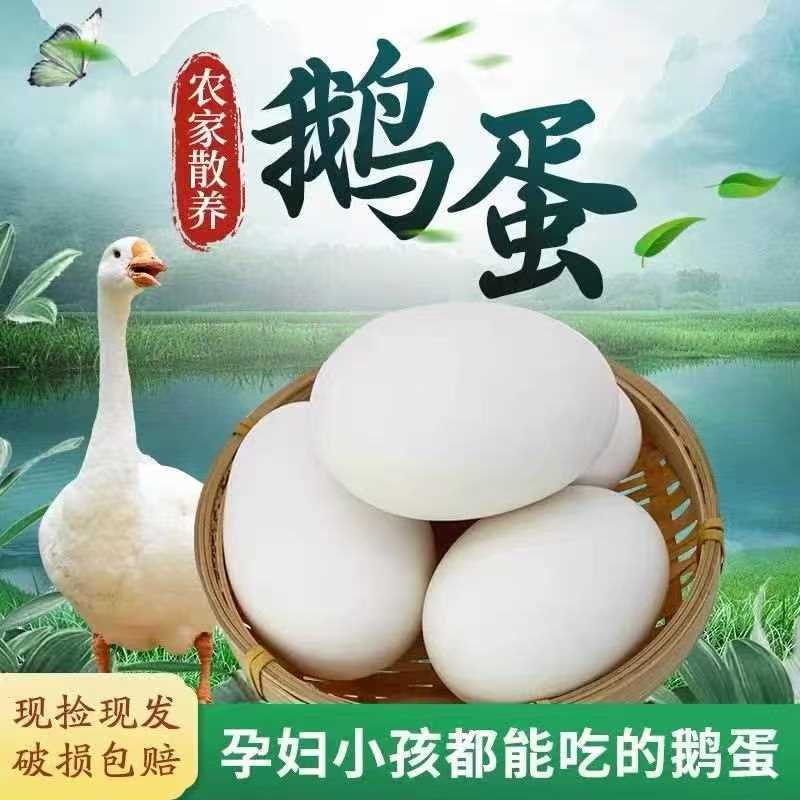 农家自养新鲜散养土鹅蛋现捡现发适合孕妇宝宝20枚