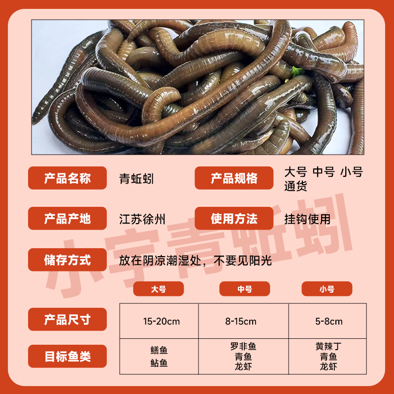 鲜活青蚯蚓活体鱼饵钓黄鳝鲶鱼黑鱼地笼活饵顺丰包邮
