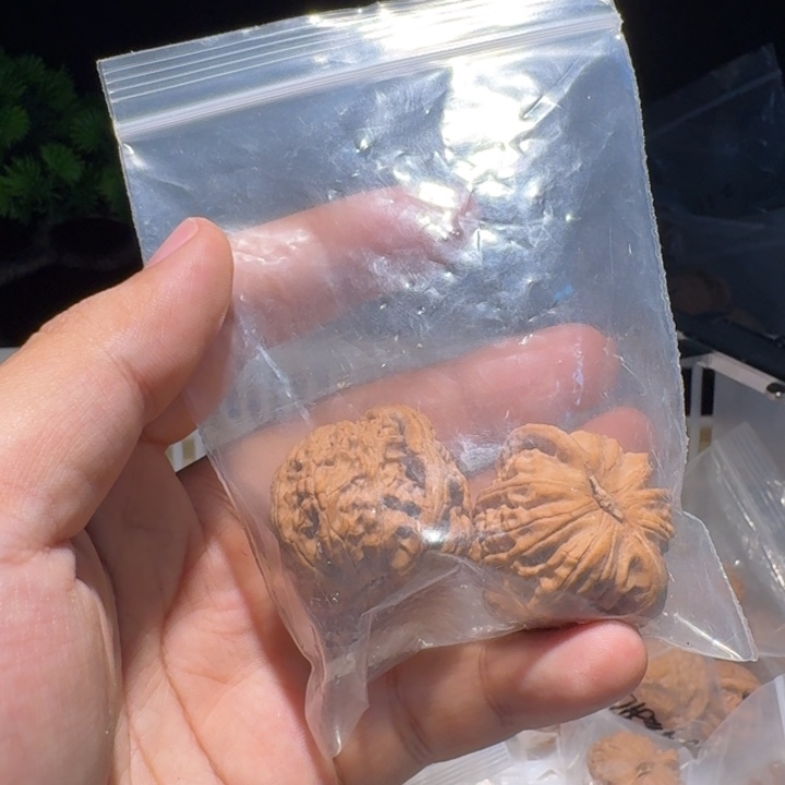 邦***拳吊坠文玩核桃白狮子