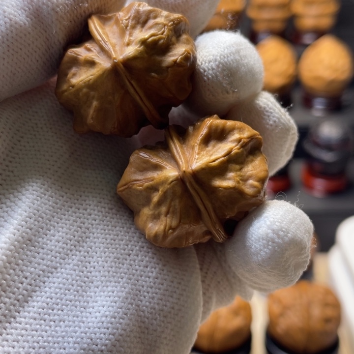 把件文玩核桃Y12甲壳虫42尺