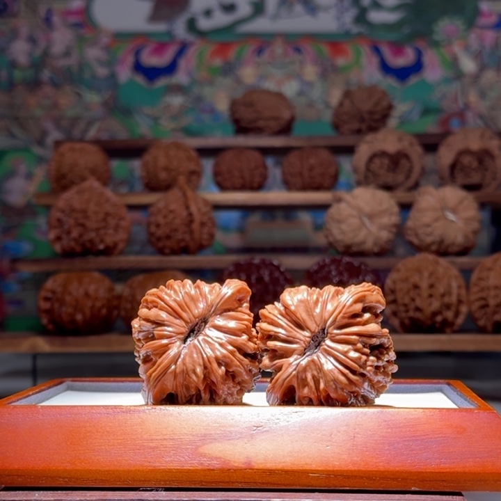 44全品四座楼毕业级