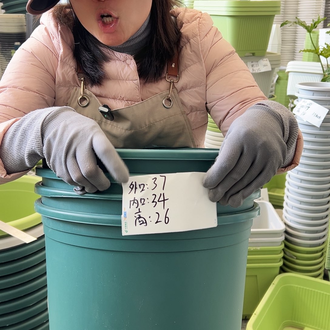 矮胖7#墨绿色4个无托