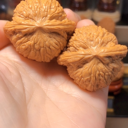 蜡黄皮：红宝石全品