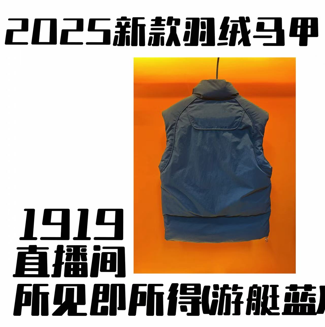 极寒【1919】五防免洗户外防风防水白鸭绒羽绒马甲-【小东专属】雄