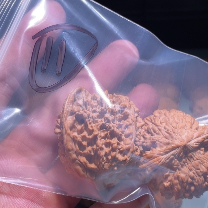 文玩核桃吊坠开****?11呃呃呃