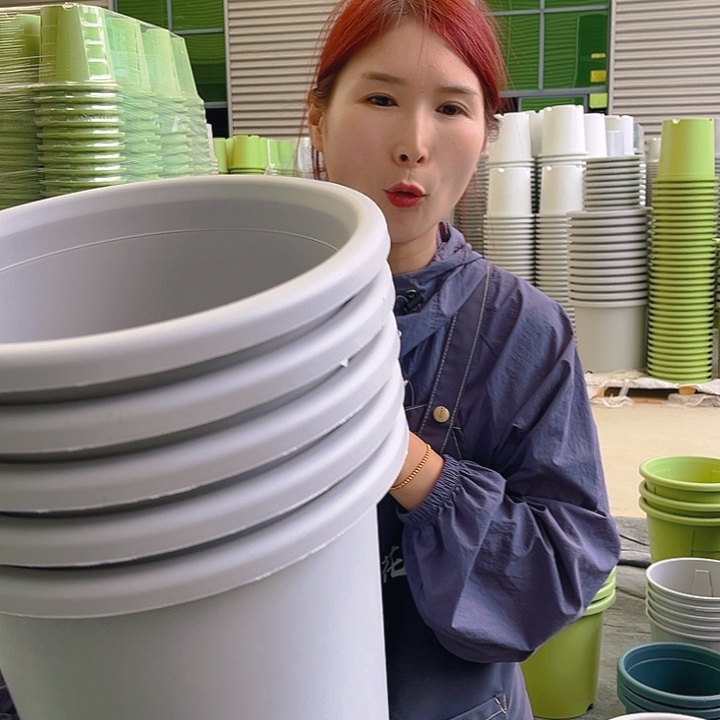 四季盆7#灰白色6个无托