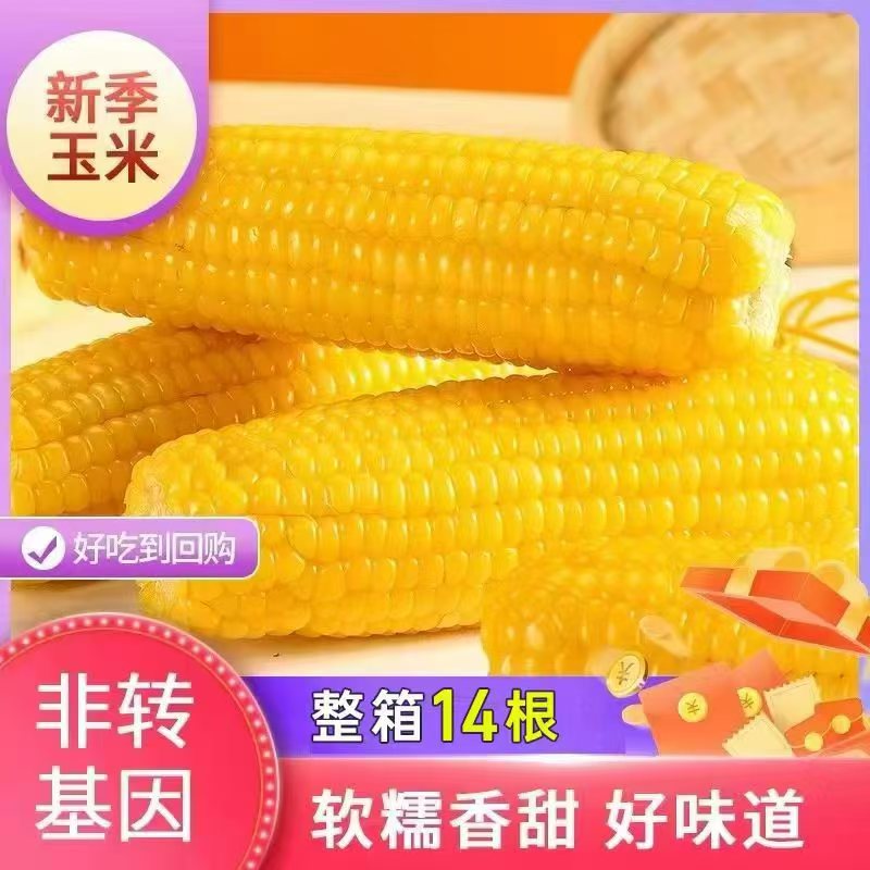 【整箱14根6~7斤】东北大黄糯玉米一大箱(试吃两根)