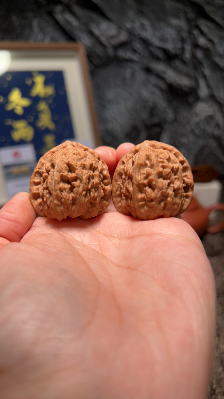 文玩核桃 延庆白狮子6390号36.5