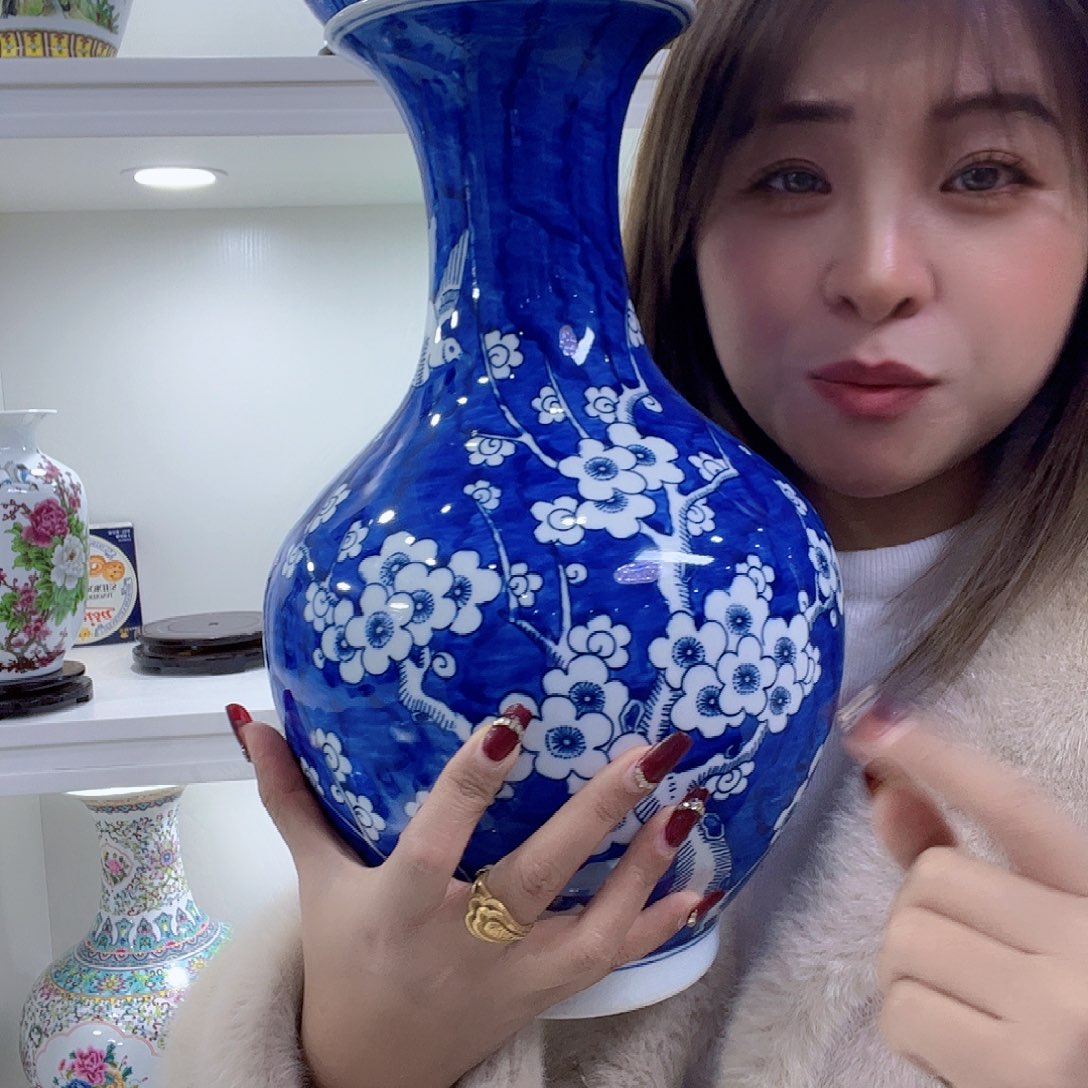 景德镇陶瓷花瓶摆件