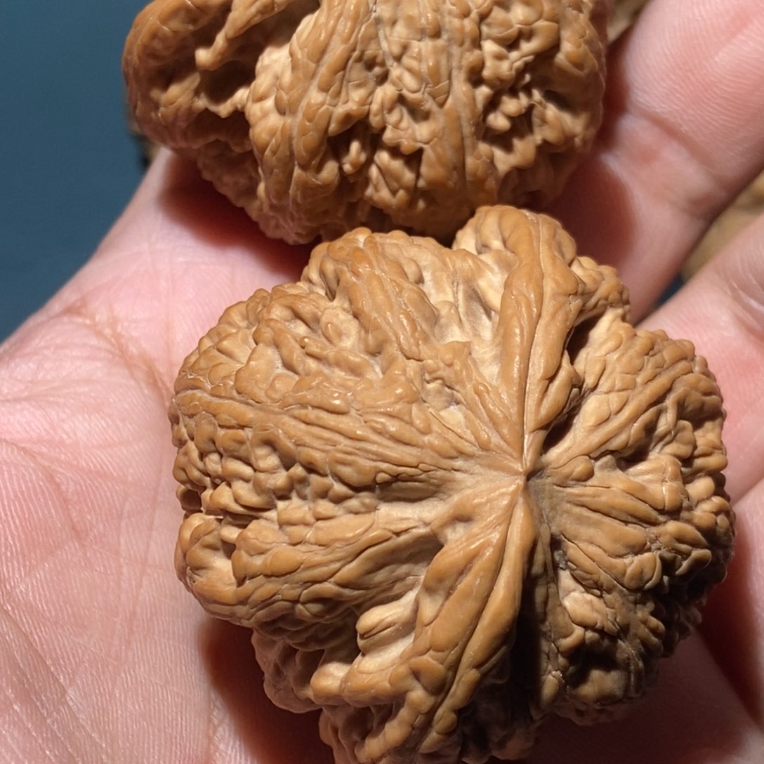 文玩核桃吊坠F***s粗筋